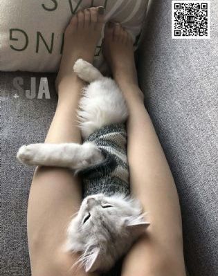 www日本一區_1080免費電視劇