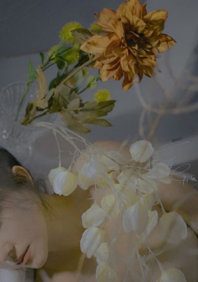 在線服務_BD英語高清視頻觀看